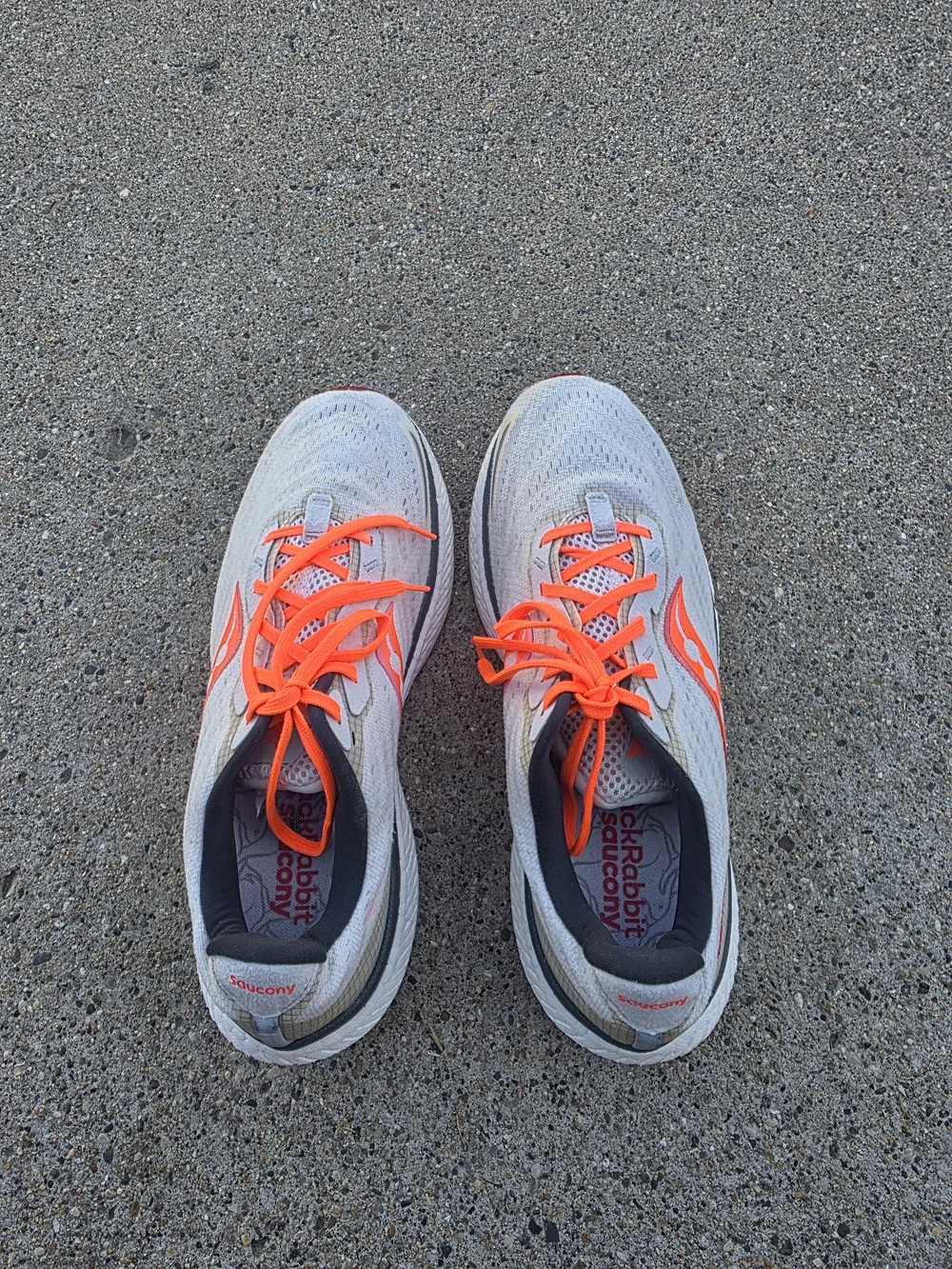 Saucony  Sneaker Women Size 10